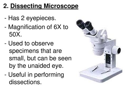 Types Of Microscopes 1 Compound Light Microscope Ppt Download