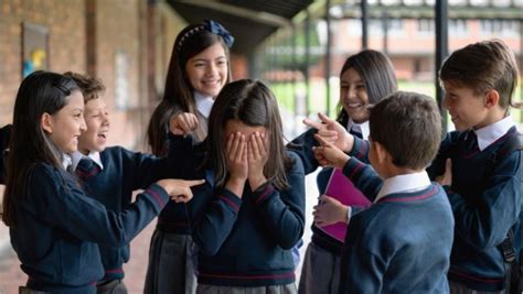 ¿cuáles Son Las Causas Y Consecuencias Del Bullying Porque Quiero