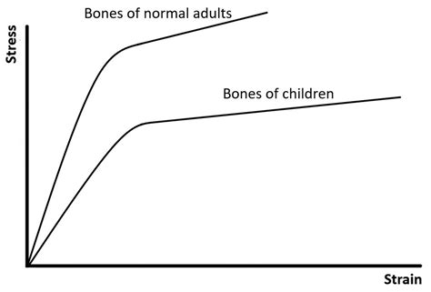 Materials Free Full Text Mechanical Properties Of Compact Bone