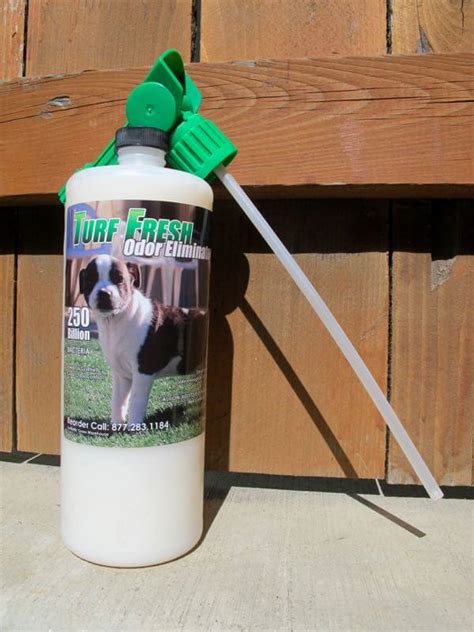 Artificial Grass is a Dog’s (and Our) Best Friend : HomeJelly