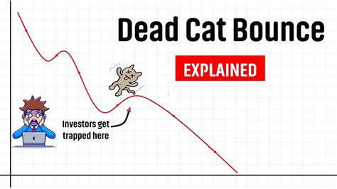 What Is Dead Cat Bounce 🐱 Explained Youtube