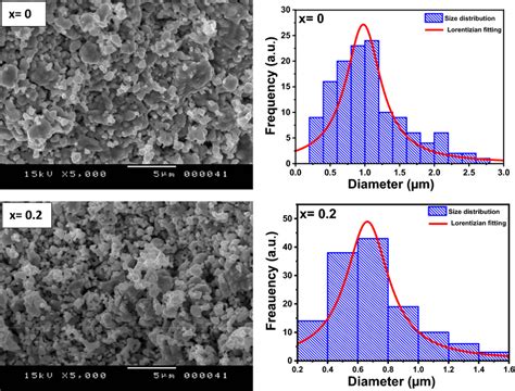 Typical Examples For The SEM Images And Grains Size Distributions Of