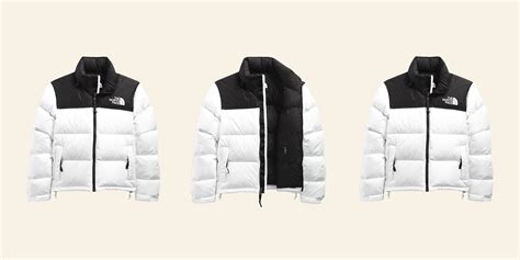 Jackets For Sub Zero Temperature Ppgbbe Intranet Biologia Ufrj Br