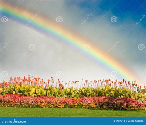 Rainbow And Flowers Stock Photos - Image: 1427313