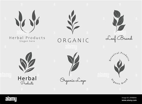 Herbal Products Organic Logo Design collection Stock Vector Image & Art ...