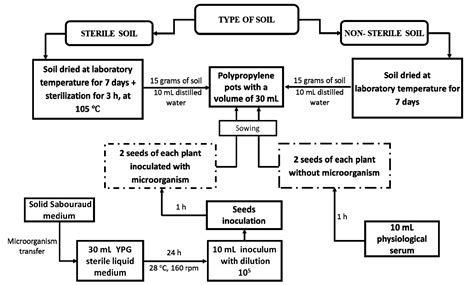 Processes Free Full Text Screening Of Azotobacter Bacillus And Pseudomonas Species As Plant