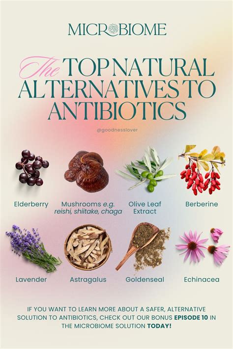 The Top Natural Alternatives To Antibiotics In 2024 Natural