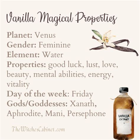 Vanilla Magical Properties And Kitchen Witchery