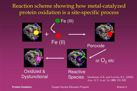 Ppt Protein Oxidation A Primer On Characterization Detection And