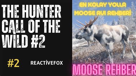 The Hunter Call Of The W Ld Moose Rehber En Kolay Moose Avi