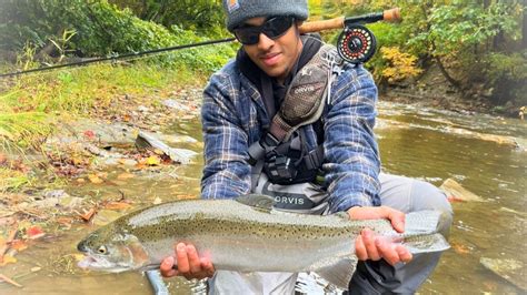 Early Fall Fly Fishing For Lake Erie Steelhead Pennsylvania Tribs