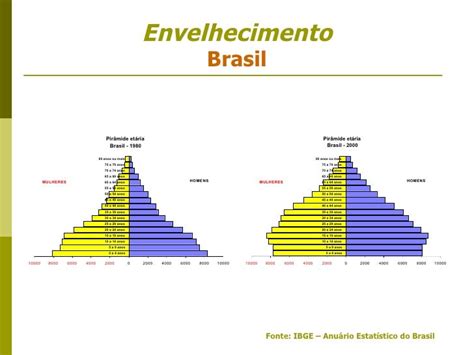 Perspectiva Do Envelhecimento Na Sociedade Brasileira - ENVELHECIMENTO POPULACIONAL