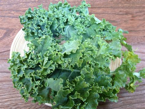 200 + 무료 Kale & 케일 이미지 - Pixabay
