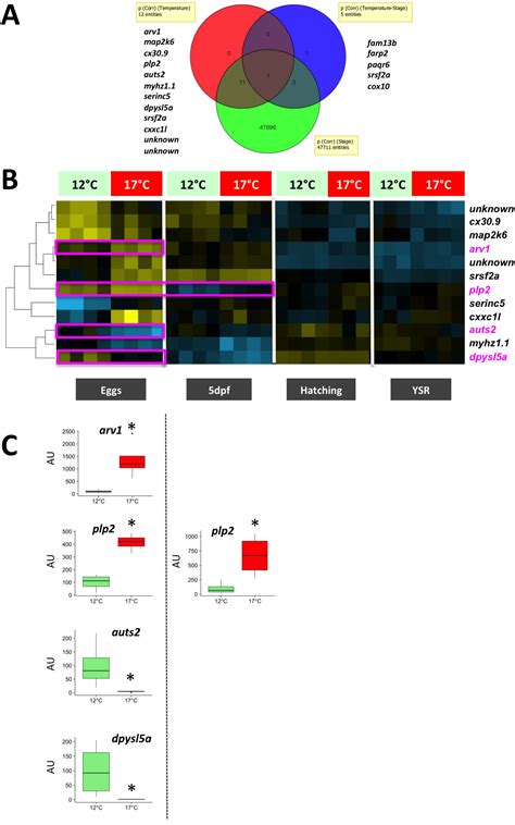 Studying maternal vs paternal genes reveals a shocking fact 26