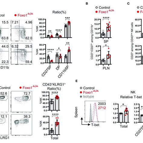 Hematopoietic Specific Deletion Of Foxo Promotes Nk Cell Maturation