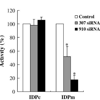 Knockdown Of Idpm By Sirna In Hela Cells Hela Cells Were Transfected