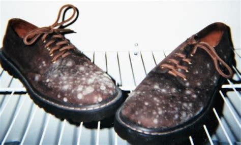 Dont Let Mold And Mildew Ruin Your Leather Shoes And Clothes More