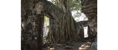 A 502 Años Del Desembarco En Lo Que Hoy Es Veracruz Cómo Está La Casa