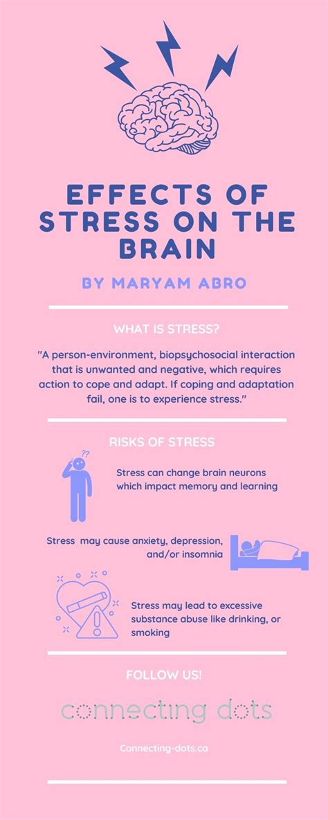 Effects Of Stress On The Brain Connecting Dots Calgary Ab