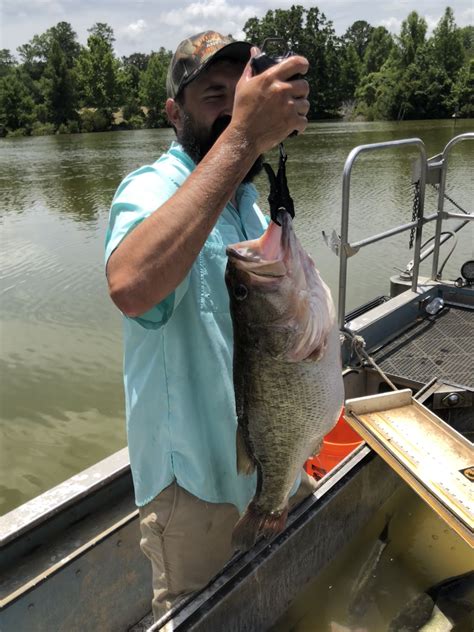 Growing Trophy Largemouth Bass By Bob Lusk American Sport Fish