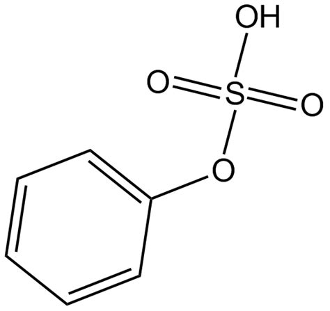 APExBIO Phenyl Sulfate