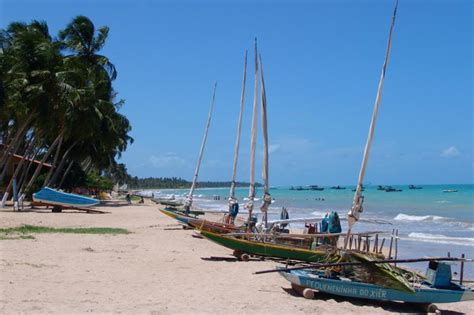 Maragogi Beach Gales Reef - Private English Guide | Gray Line