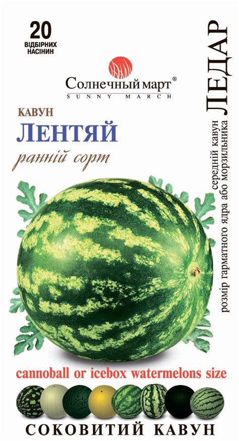 Семена арбуза Семена арбуза Ледар ─ купить в интернет магазине в Украине