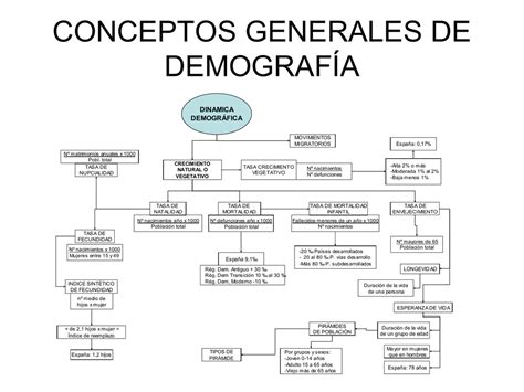 Mapas Conceptuales Demograf A