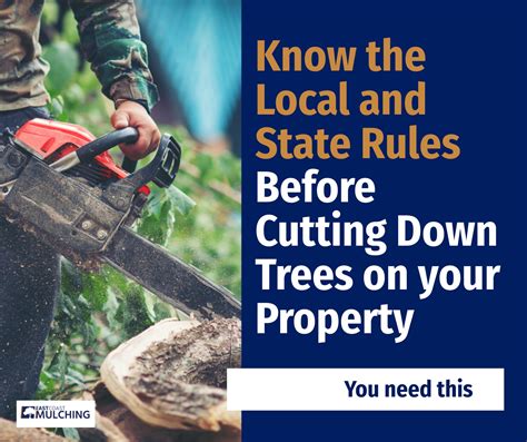 Do You Need Council For Cutting Down Trees On Your Property