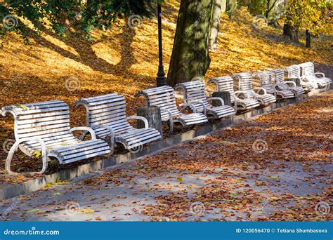 Bench in Autumn Park. Autumn Fall Stock Photo - Image of leaf, outdoor ...