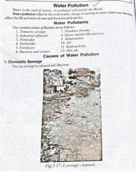 Solution Water Pollution Studypool