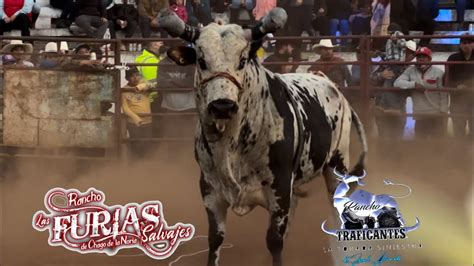 JARIPEO BAILE PLAZA DE TOROS HERMANOS FRANCO DE VILLA MORELOS MICHOACAN