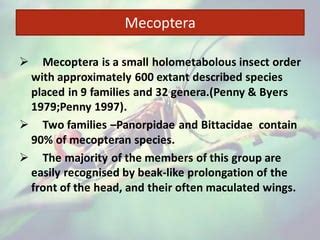 Mecoptera - Scorpion files | PPT