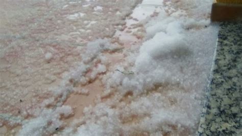 El Granizo Da A Hect Reas De Frutales Seg N Agroseguros Orm