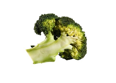 Broccoli Png Transparent Background 29713963 Png