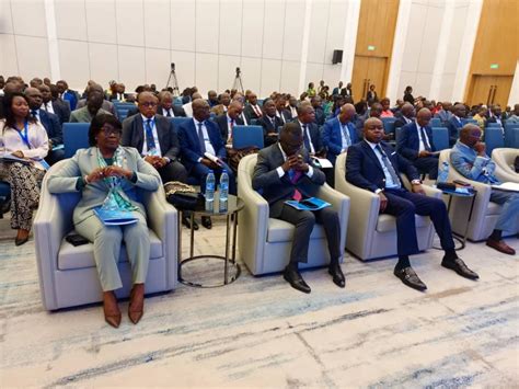 Revue De La Performance Du Portefeuille De La Banque Mondiale Au Congo