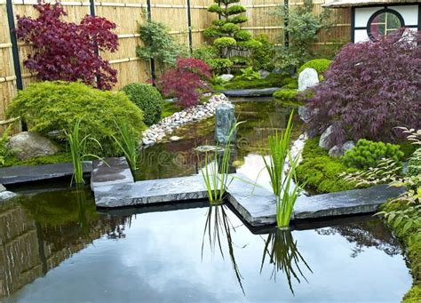 Traditional Japanese Water Garden with Plants, Shrubs, Rocks Stock Image - Image of gardens ...