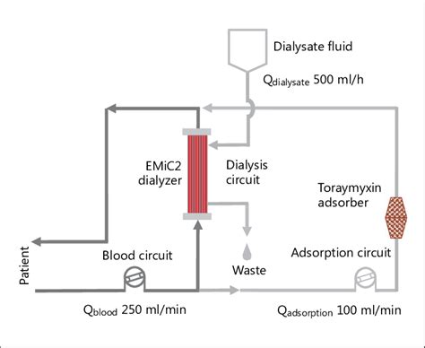 Schematic Of The Extracorporeal Circuit Download Scientific Diagram