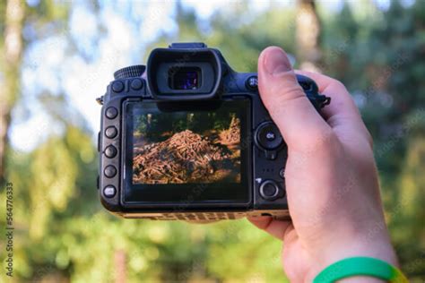 Konkurs Fotograficzny Le Ne Inspiracje Szko A Podstawowa