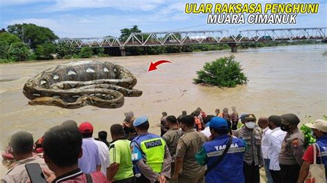 Kesaksian Warga Temukan Ular Hitam Raksasa Di Muara Cimanuk Saat Di