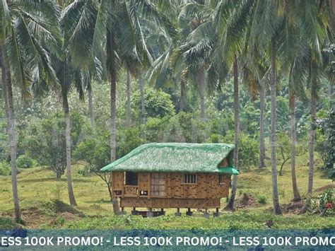 1 000 Sqm Residential Farm For Sale In Baras Rizal Lots February