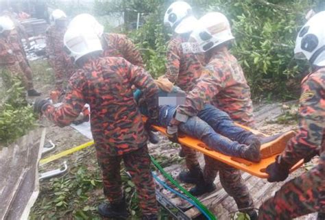 Seorang Pekerja Indonesia Maut Lima Cedera Pokok Tumbang Hempap Rumah