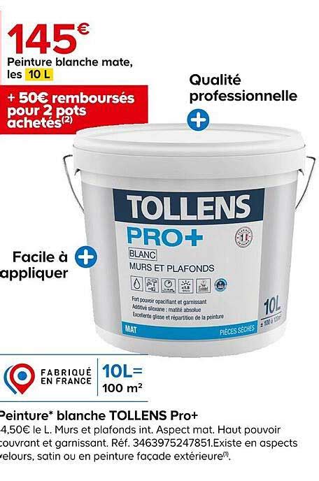 Promo Peinture Blanche Tollens Pro Chez Castorama Icataloguefr