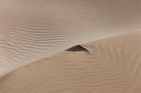 Premium Photo | Desert sand dunes background with copy space