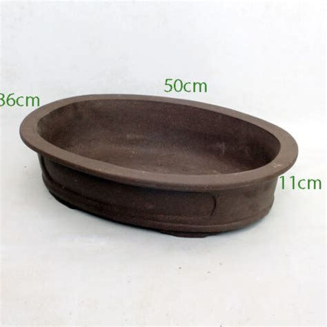 Unglazed Bonsai Pot Code Uk Small All Things Bonsai