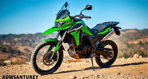 Kawasaki Z Top Speed Performance Mid Range Naked Bike With Torque