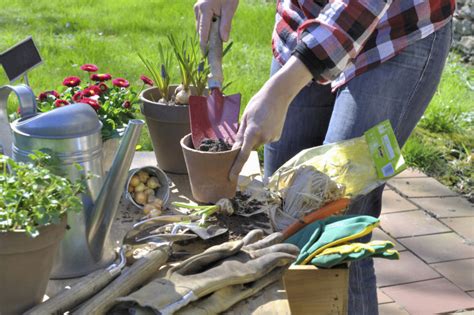 Jardinage 5 Outils Indispensables Pour Le Jardin Potager