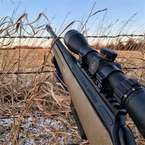 Vortex vs Leupold – 2022 Comparison Report - Gun Mann