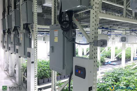 Indoor Grow Farming Systems Vital Valt