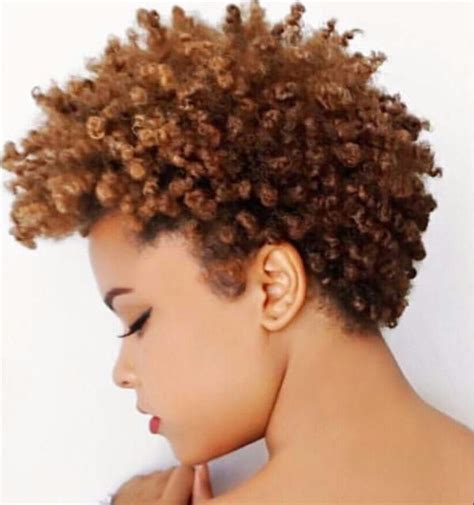 Pin By Tara On Kinky Curly Hair Color For Black Hair Natural Hair